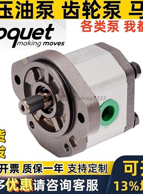 西班牙ROQUET齿轮泵1GN 1GM 1GNM15  6 8 11 12 16 18 21 23 27 C
