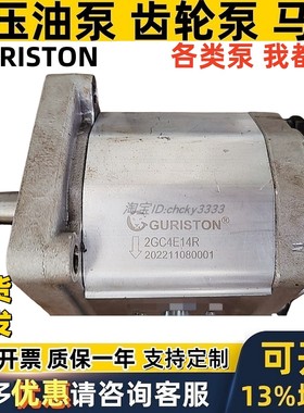 台湾GURISTON齿轮泵2GC4E14R BHP2A0D28H2Z13-R BAP1A0D BHP2A0R