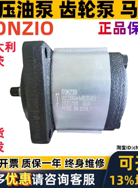 意大利RONZIO齿轮泵02ZCG17S435D 02ZCG25N438S 02ZAG14C033D