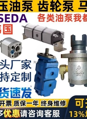 韩国aseda液压泵齿轮油泵SP197 SP124 SP257 DASP20马达SAP10D7R