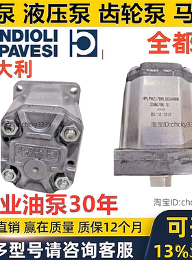 BONDIOLI油泵HPLPA214DMNE5E3B00 HPLPA211 DML6464B DSPU6U5900