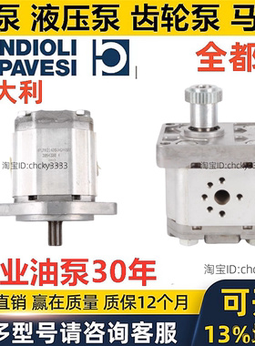 BONDIOLI油泵HPLPA208 HPLPA109 HPLPA211 HPLPA139 DMNG4G4B00
