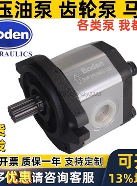 BODEN齿轮泵BHP2.5A1D30C1F1/D45/D32/D36/D38/D40/D44/D25C1F1