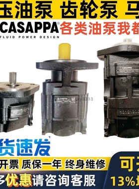 意大利CASAPPA齿轮油泵KP30.82S0-06SU-LRR/RP-HSC KP30.61S0马达