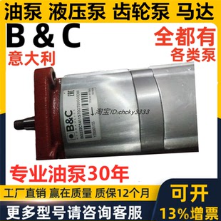 BG30 BG20 BG10 意大利B&C齿轮泵BG222C1411ST0GT80GG0D000