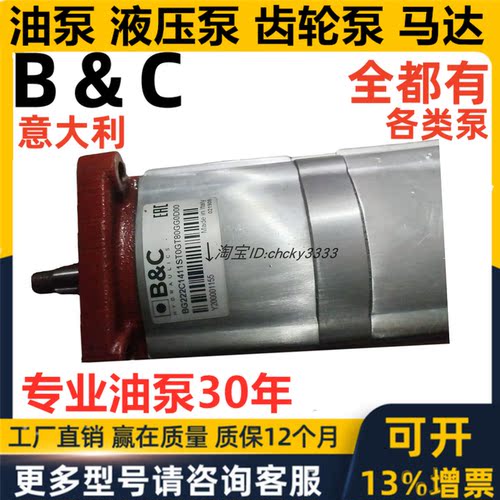 意大利B&C齿轮泵BG222C1411ST0GT80GG0D000 BG10 BG30 BC BG20