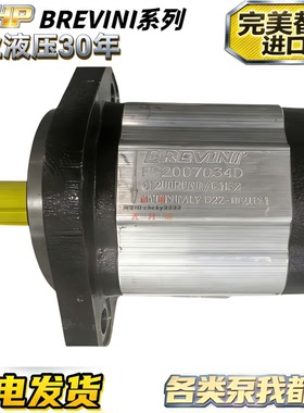 brevini齿轮泵PS2007034D OT200P06D-G31S2 PS2007088D OT200P16D