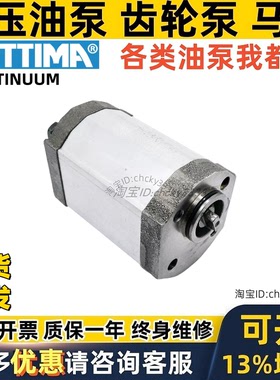 SETTIMA油泵G28 GR28 GR33 G33 G38-2V V016 V008 C016 V006