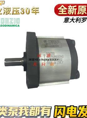 意大利RONZIO液压齿轮泵02ZAG14C033D 02ZCG25L441R 02ZAG06E034D