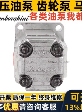 LAMBORGHINI齿轮泵MLPS HLSD HLSS TG-124D /GP GA 202 205 206