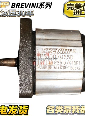 意大利brevini液压齿轮油泵PS2007002D OT200P08D PS20 PS10 PS30