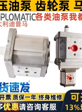 迪普马DUPLOMATIC双联齿轮油泵GP1R0041RF20NH+GP1F0041R97F20N
