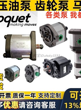 西班牙ROQUET油泵1L6D 1LQ7.5D 1PLD54 1PLA36D 1LM27 1L12I J23F