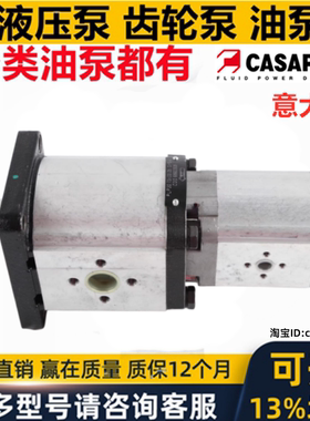 CASAPPA双联泵PLP30.73D0-83E3-LEF/ED+PLP20.25D0-82E2-LEB/EA