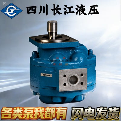 四川长江液压泵CBY4170F-B1FL CBY4160C-B1FR CBY4125/3100/3050