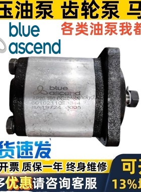 BLUE ASCEND齿轮泵APM20 AP 20.115/140/160/190/220/250/280/320