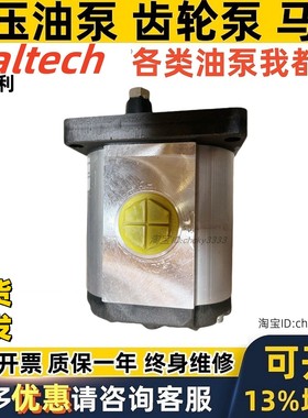 GALTECH齿轮泵3GP-G-370 440 530 620 700 D-EUR-B-N-10 1GP3001