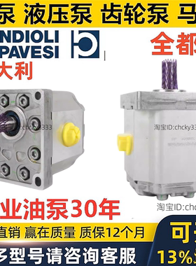BONDIOLI齿轮泵HPLPA226SMNG7G6BHY HPLPA341SW4G7G6B0 HPLPA217S