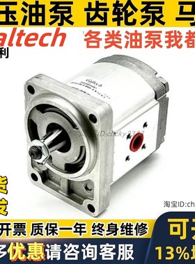意大利Galtech齿轮泵HC02P000 48 49 50 51 52 99 53 54 55 40 41