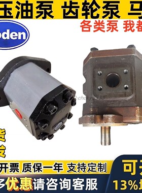 boden齿轮泵BAP3.5A0D50C1F5 BAP3.5A0D90CLF6 BKP4AOR90Z1L6 BAP