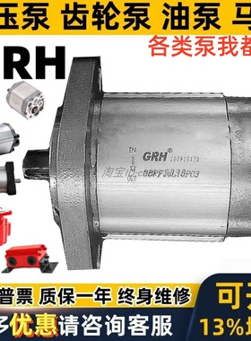 GRH齿轮泵2.5 1APF2.0L48P07 1DPF3.2/2.7D 3PF22L APM BPF液压