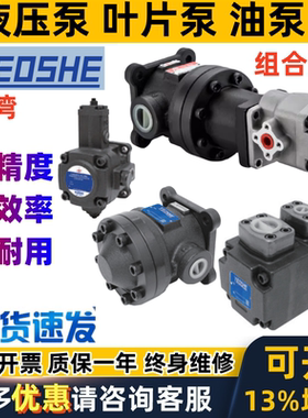 台湾YEOSHE液压叶片泵50T 150T PV2R1 2 VDC VPE VVPE VD PVF SVD