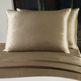 外贸清仓瑕疵品单人家用简约枕套 拍一发二 桑蚕丝双面真丝拉链款