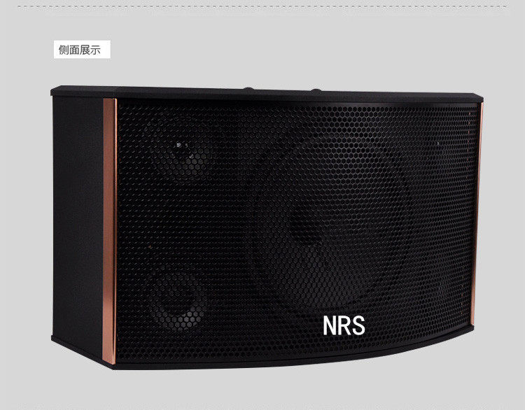 NRS壁挂音箱10寸家用KTV卡拉ok机关学校包房会议酒吧舞厅音响