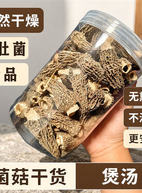 2026山东头茬肉厚羊肚菌干货