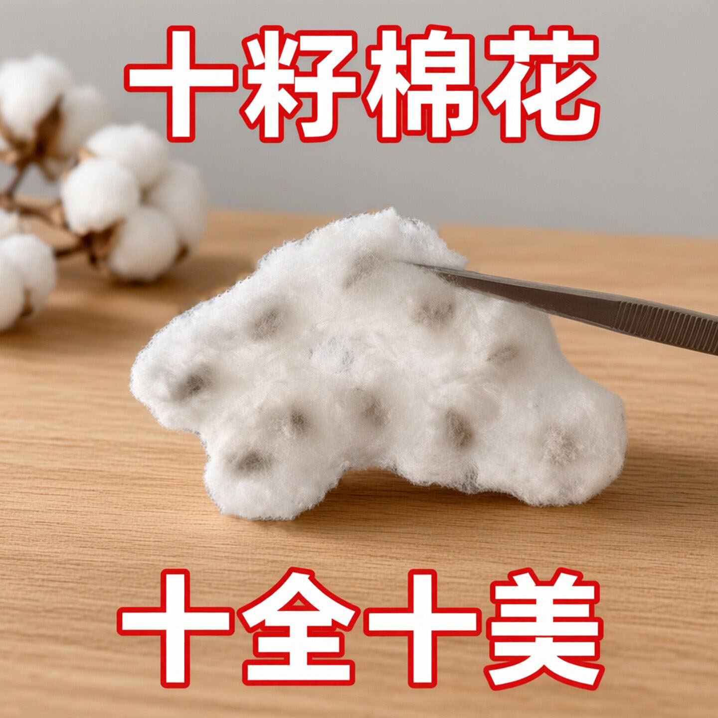婚庆喜事用十籽棉花 真棉花多籽多福十全十美 陪嫁喜被压箱用品