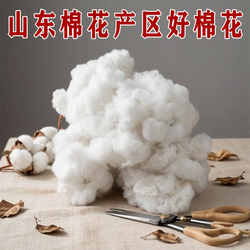 结婚生子用特级籽棉棉花
