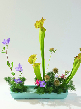 小原流长方形插花花器禅意插花器皿日式花道陶瓷花盘多肉植物花盆