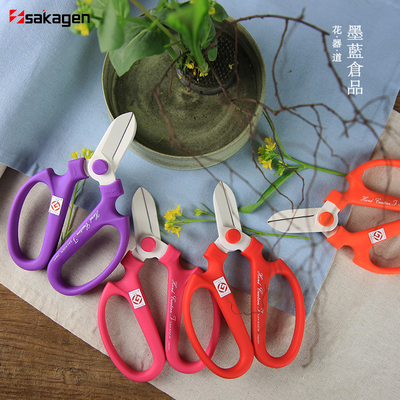 坂源花剪花艺剪刀工具日本进口小原流花道日式插花花艺师专用剪刀,鲜花速递/花卉仿真/绿植园艺,花艺剪刀,淘宝优惠券,粉丝福利购,淘宝优惠卷
