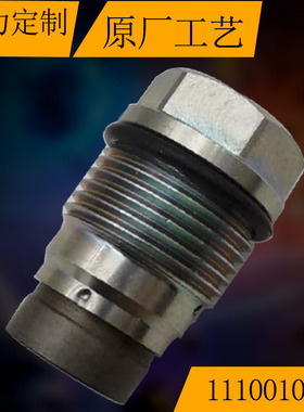 高质量共轨泄压阀 适用依维柯STRALIS 纽荷兰T8T9伊萨 1110010012