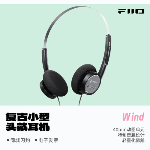 飞傲雪漫天Wind复古小型头戴耳机