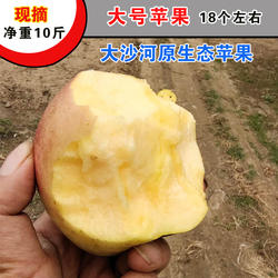 徐州大沙河苹果 新鲜水果大号 丑苹果红富士 新农甜苹果