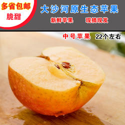 丰县大沙河苹果新鲜水果红富士冰糖心野生丑苹果 新农甜苹果