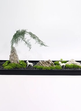 永生苔藓干文竹绿植微景观餐厅长餐桌会议室茶室酒店民宿家居摆件