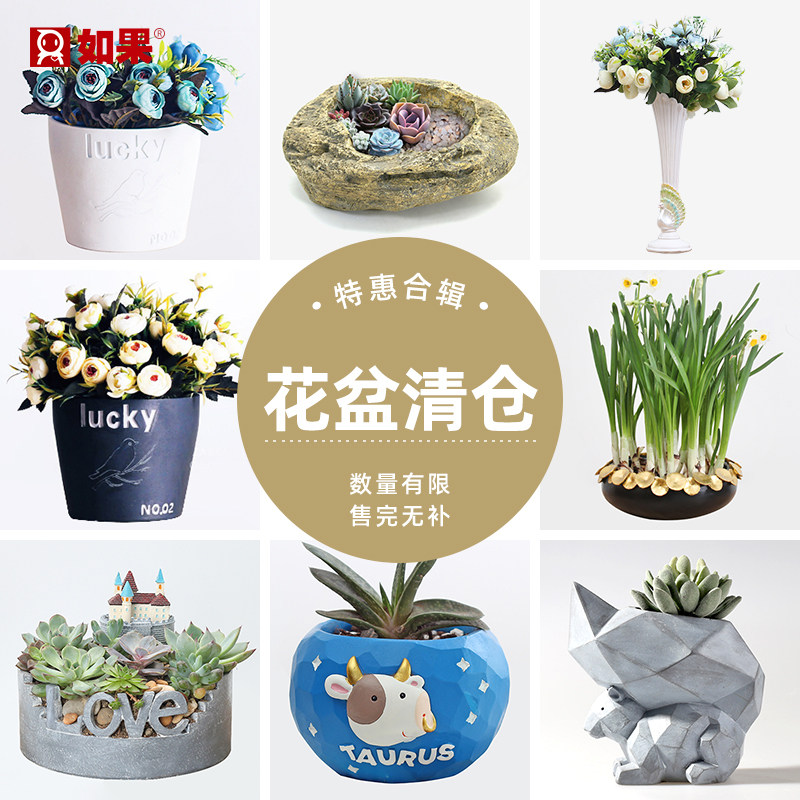 清仓多肉花盆包邮特价创意个性卡通肉肉植物小盆栽树脂花瓶装饰品