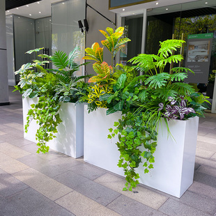 仿真绿植散尾葵枫叶垂吊花箱花槽搭配商业街围栏隔断遮挡造景