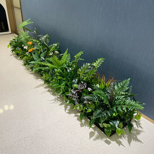 wo+高档手感绿植花箱橱窗用花