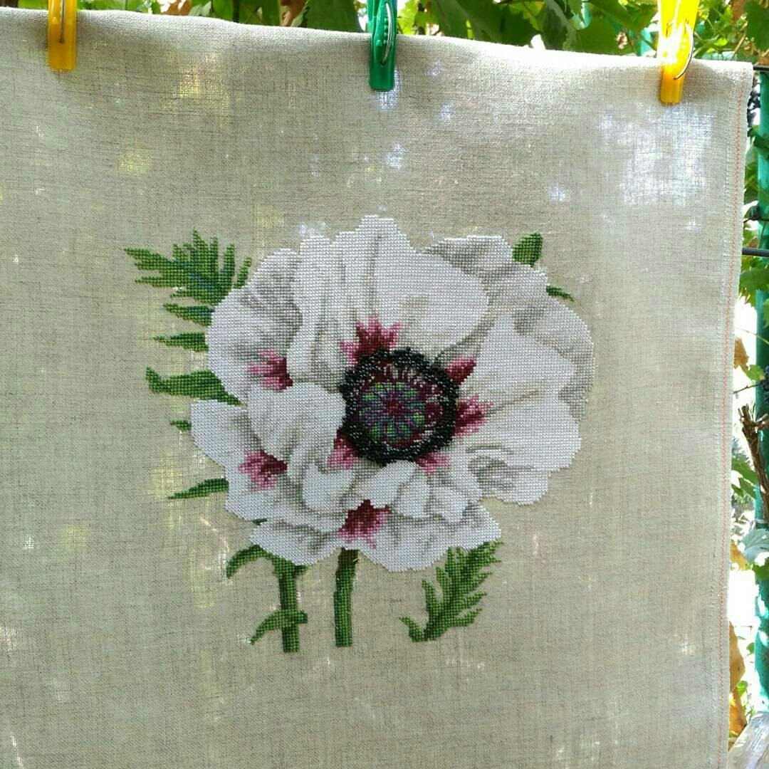 法国DMC十字绣套件白色花朵欧式花卉杂志客厅精准印花9541