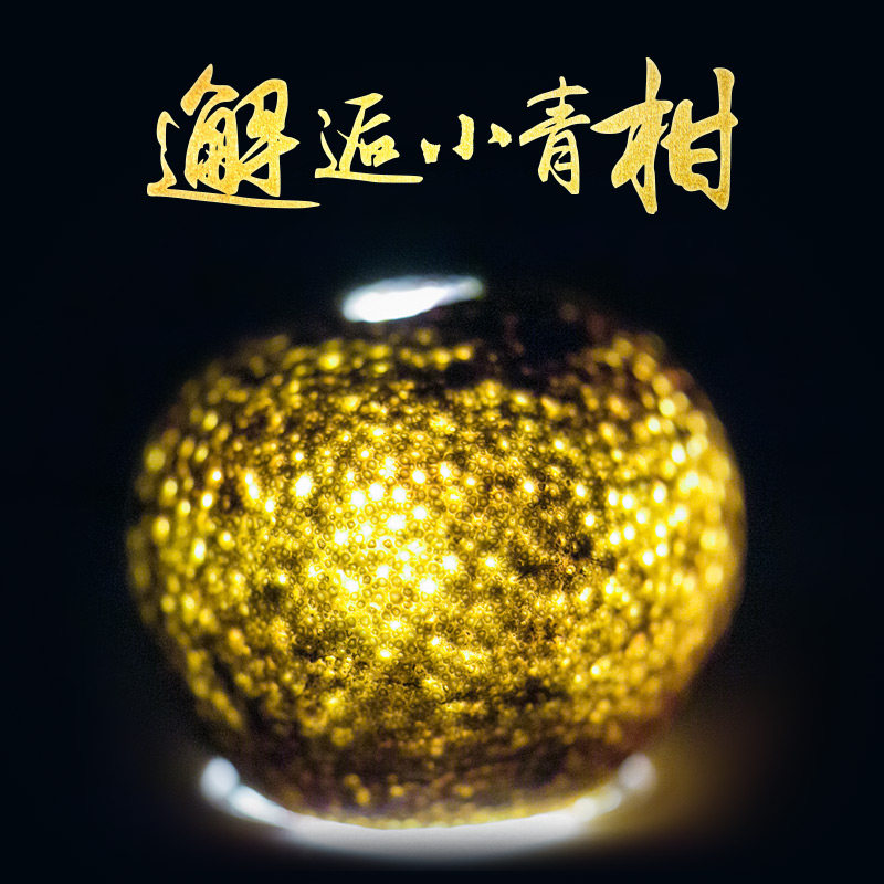 正宗新会特产生晒小青柑普洱茶宫廷陈皮金桔普茶叶送礼盒装罐装