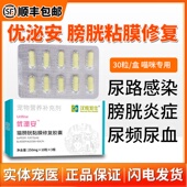 汉维宠仕优泌安猫咪修复膀胱粘膜泌尿感染尿频尿血排尿困难尿闭症