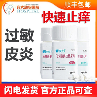 辉瑞爱波克宠物猫狗过敏性皮炎皮肤瘙痒犬猫皮肤病快速止痒片进口