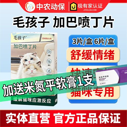 猫咪用加巴喷丁舒缓出门应激情绪