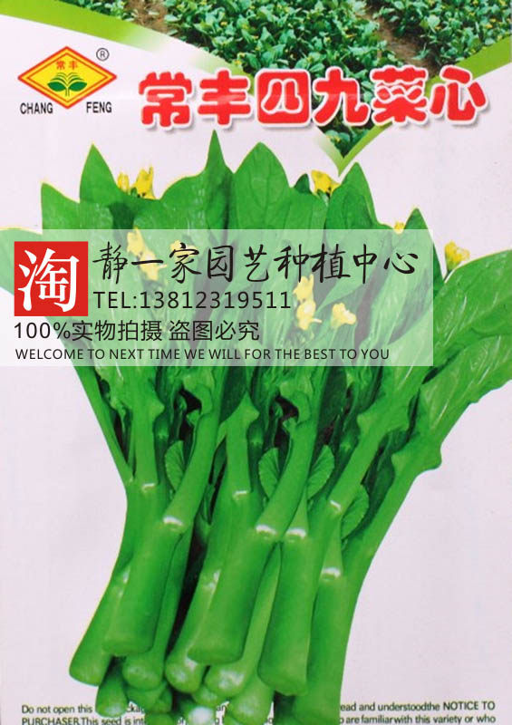 四九菜心/六十天甜菜心种子 阳台菜园四季盆栽庭院有机蔬菜种子秋