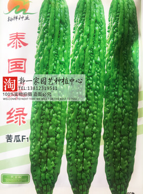 寿光泰国疙瘩抗寒大棚苦瓜种子