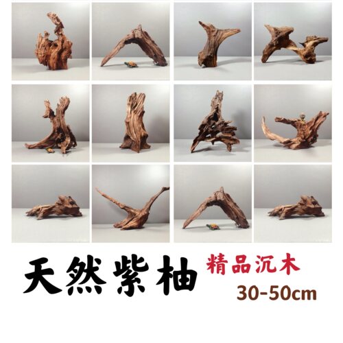 30-50厘米小号沉木乌龟晒台躲避