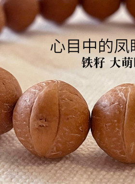 菩提子大萌眼密度高油性足